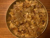 Carterii (Gold) Frankincense - 2 oz. - Somalia