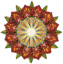 Sun Rose - Cedar Rose & Resin